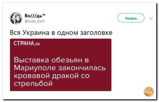 Юмор помогает пережить смуту: что важнее истерика Англии или усы Грудинина?