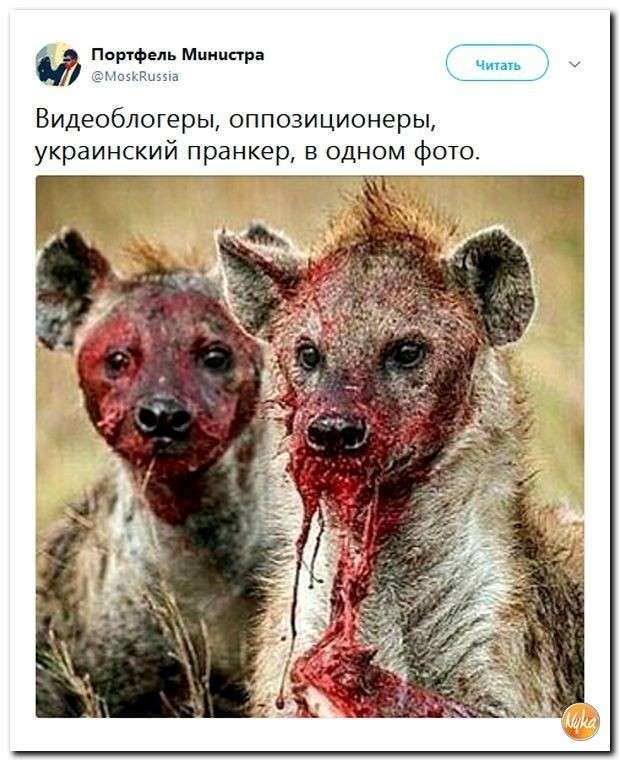 Юмор помогает нам пережить смуту: Закопошились гады