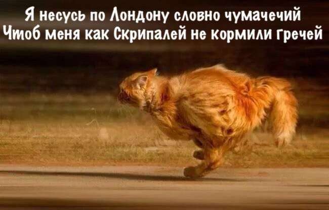 Соцсети жгут. Выпуск №142. Обо всём в картинках и с юмором