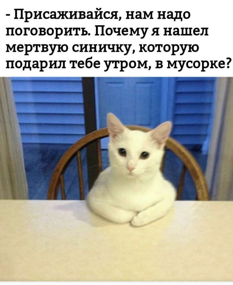 Юмористическая прогулка по просторам интернета. Сегодня мы отправимся в Сирию