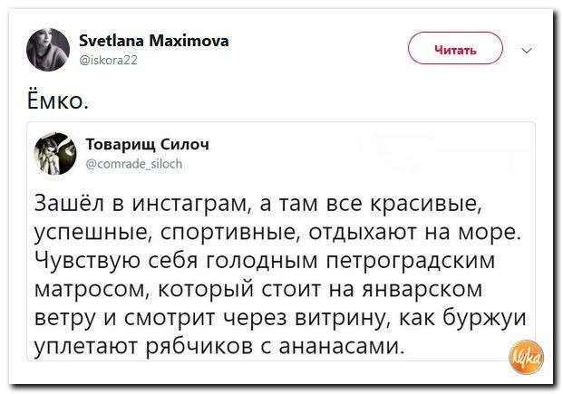 Юмор помогает нам пережить смуту: сладкая парочка Макарон и Донни = любовь