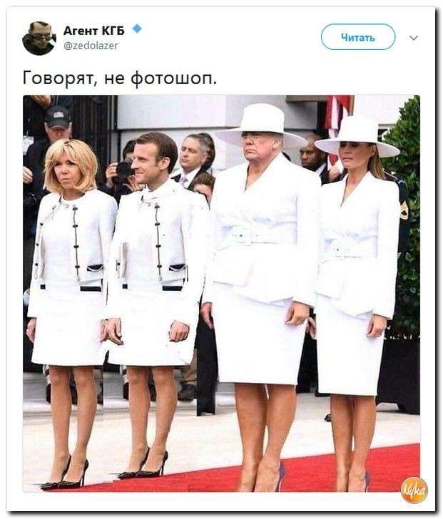Юмор помогает нам пережить смуту: сладкая парочка Макарон и Донни = любовь