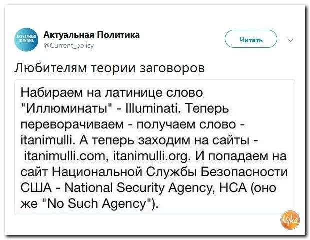 Юмор помогает нам пережить смуту: сладкая парочка Макарон и Донни = любовь
