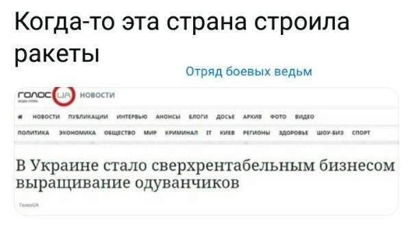 Юмористическая прогулка по просторам интернета № 25