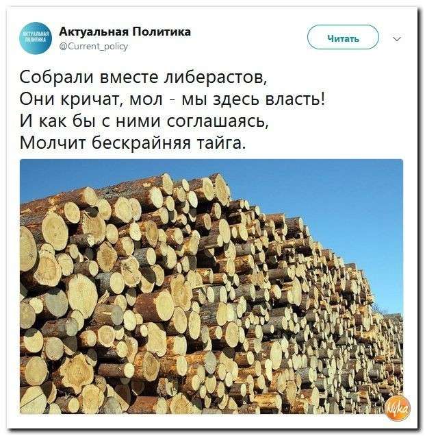 Юмор помогает нам пережить смуту: «всэ сало зъилы и нафту высосалы, кровососы»