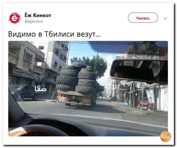 Юмор помогает прогнать либерастов: израильский покемон покоряет Евровидение