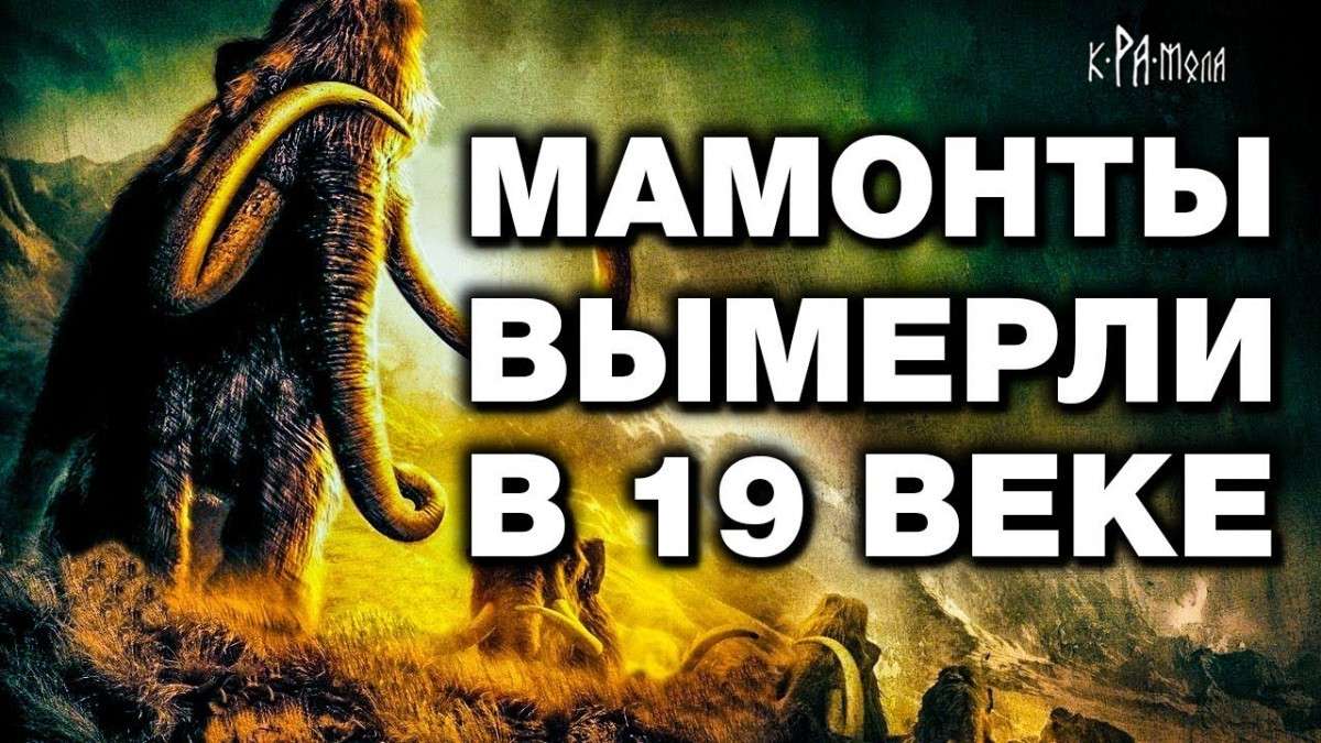 Мамонты жили в 19 веке. Историки снова нам наврали