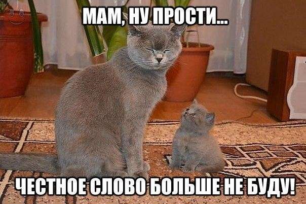 Юмористическая прогулка по просторам интернета №31