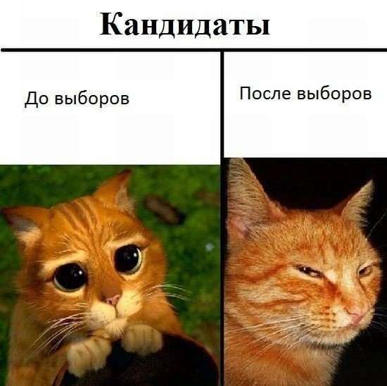 Юмористическая прогулка по просторам интернета №31