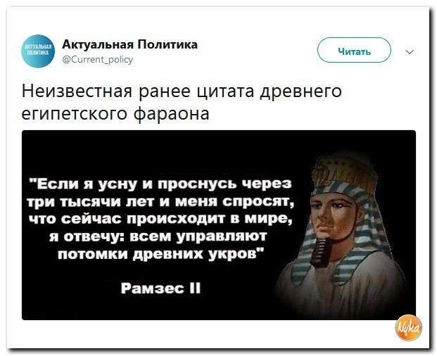 Юмор помогает прогнать демократов: почему школьники проигнорировали Стивена Сигала