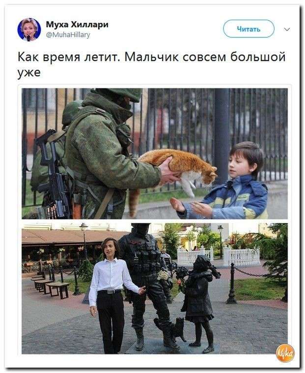 Юмор помогает прогнать демократов: почему школьники проигнорировали Стивена Сигала