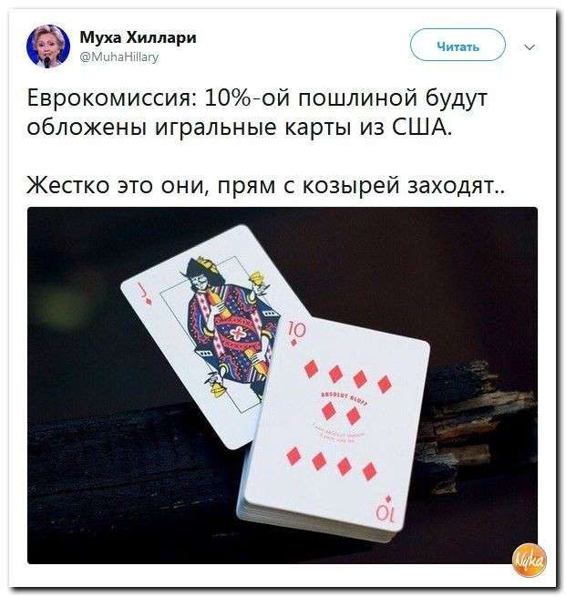 Юмор помогает прогнать демократов: почему школьники проигнорировали Стивена Сигала