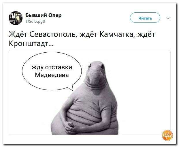 Юмор помогает нам пережить смуту: что творите? У нас лимит 5 голов на весь ЧМ-2018