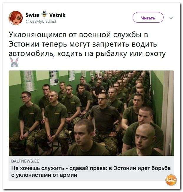 Юмор против паразитов: «западные ценности» – угроза всему живому