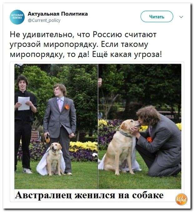 Юмор против паразитов: «западные ценности» – угроза всему живому