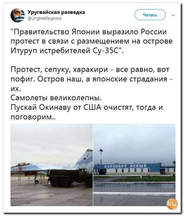 Юмор против паразитов: лучше быть русским, чем демократом!