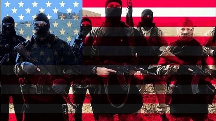 В Сирии вскрыты факты прямой поддержки США террористов
