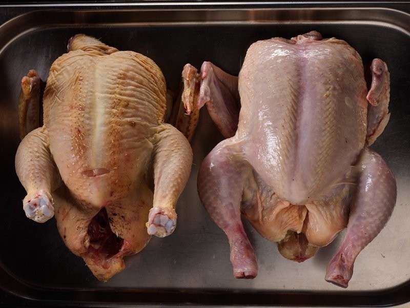 Чем накалывают курицу для увеличения веса