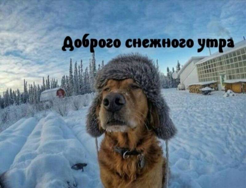 Юмор против паразитов: военное положение в Жмеринке