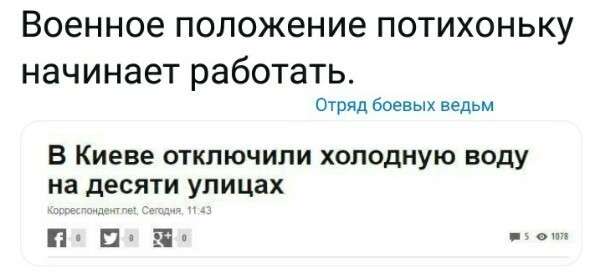Юмор против паразитов: военное положение в Жмеринке
