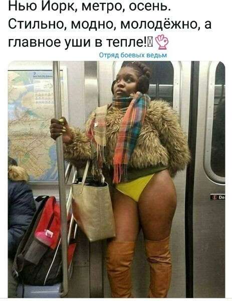 Юмор против паразитов: военное положение в Жмеринке