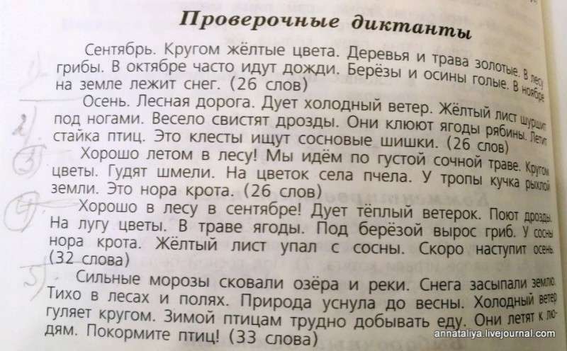 Купила сыну книгу по русскому языку. Волосы на голове встали дыбом от увиденного бреда!