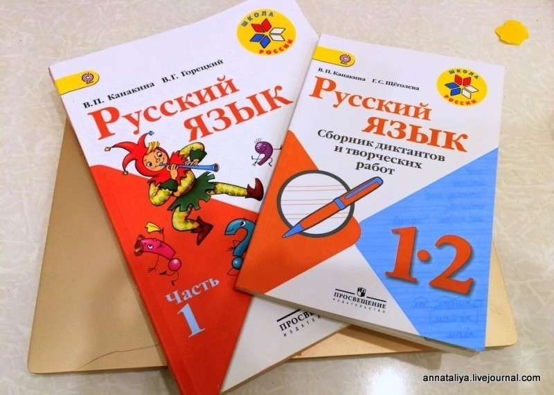 Купила сыну книгу по русскому языку. Волосы на голове встали дыбом от увиденного бреда!