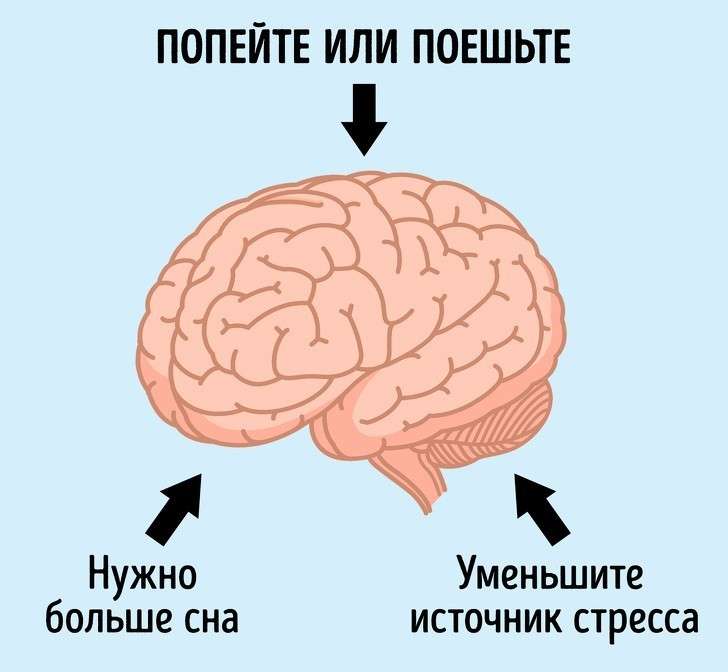 20  ,   80 %  