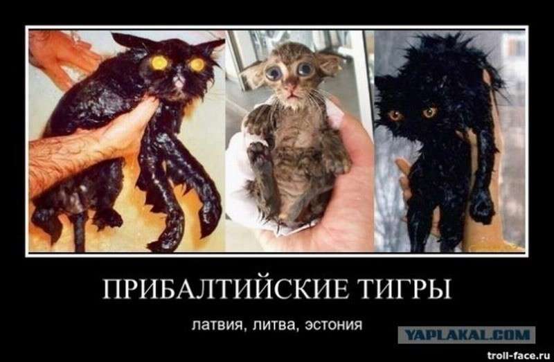 Запад принял Прибалтику с атомной бомбой, а оставил с фальшивыми шпротами