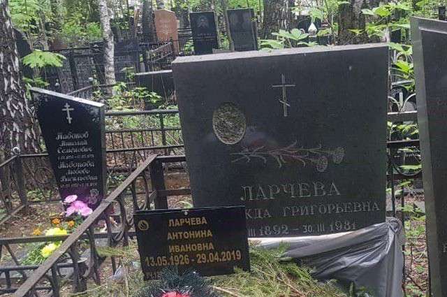 За такой откровенный ужас Соболь и её сообщников надо сажать в тюрьму, да надолго