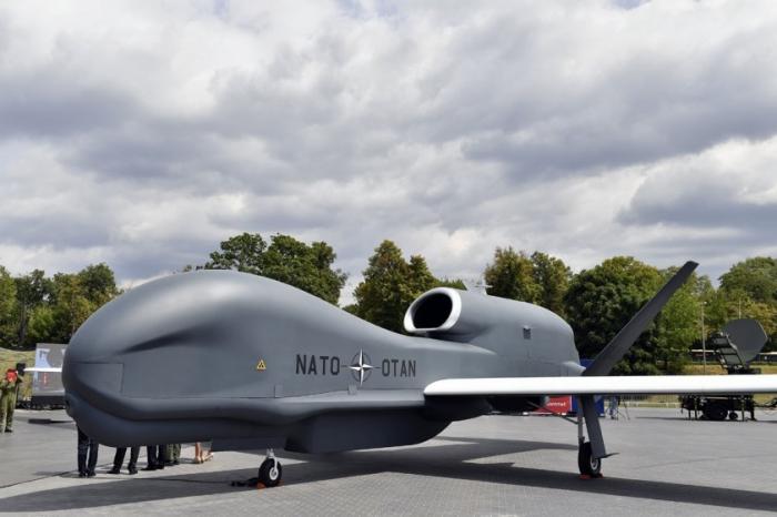   Global Hawk      