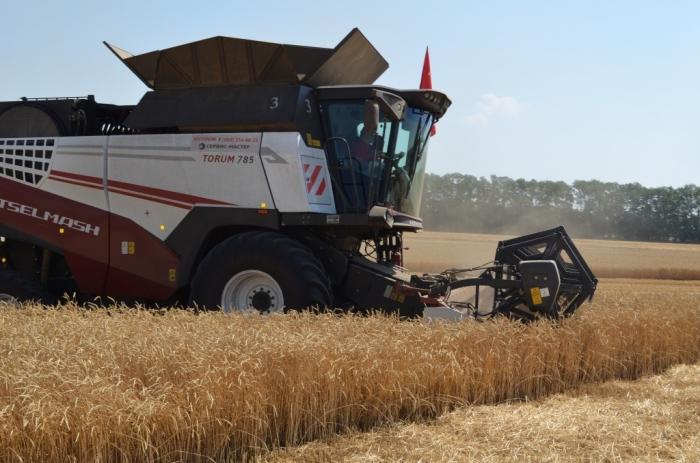 В шести регионах Юга России урожаи ранних зерновых превысили прошлогодние