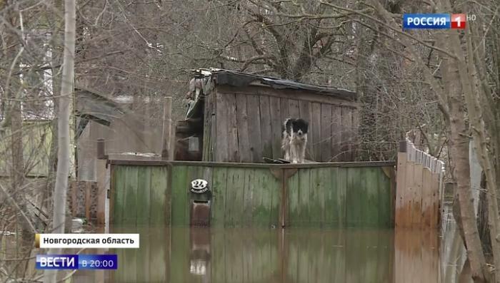 Наводнение в Новгородской и Тверской областях, эвакуируют людей