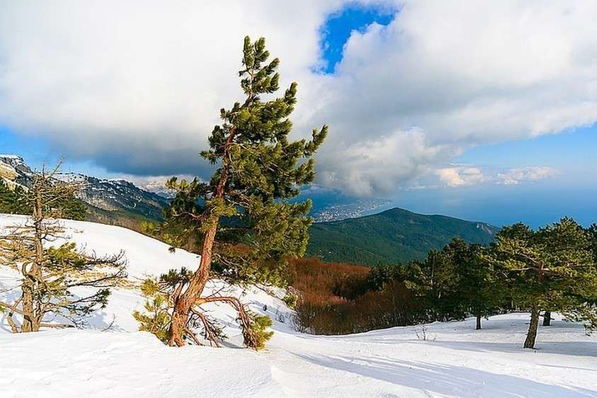 чкх что такое в крыму. Смотреть фото чкх что такое в крыму. Смотреть картинку чкх что такое в крыму. Картинка про чкх что такое в крыму. Фото чкх что такое в крыму