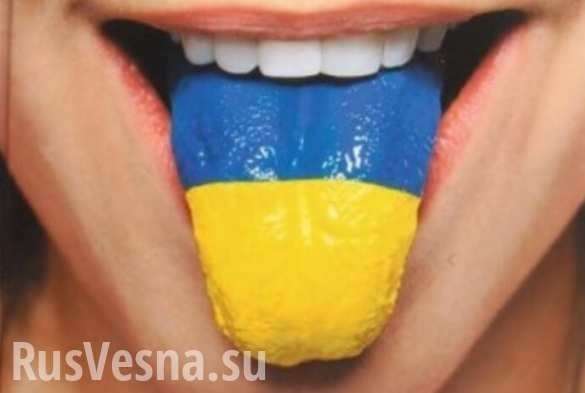 Мова калечит: родители школьников рассказали о больших проблемах | Русская весна