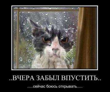 Так страшен ли Коронавирус как его малюют? Некоторые мысли вслух