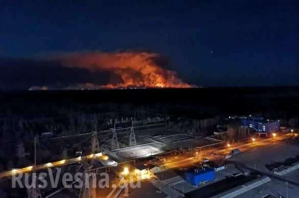 Пожар в Чернобыльской зоне вплотную подошёл к хранилищам радиоактивных отходов | Русская весна