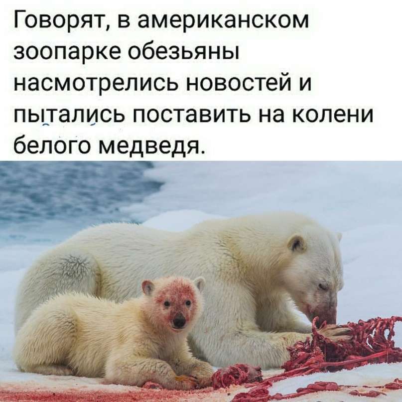 Журналисты из немецкой Deutsche Welle в очередной раз опозорились на весь мир