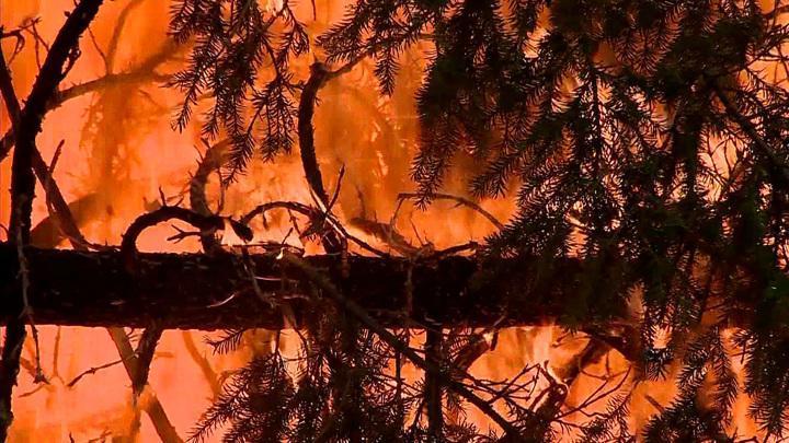 Пожары в Калифорнии стремительно охватывают новые территории