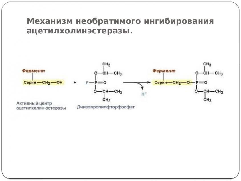 Три источника и три составных части ядовито отравляющего навальнизма
