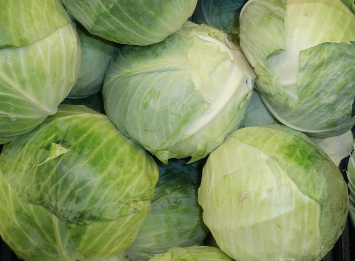 2026-01-24_20-39-20.png 2026-01-24_20-39-20.png