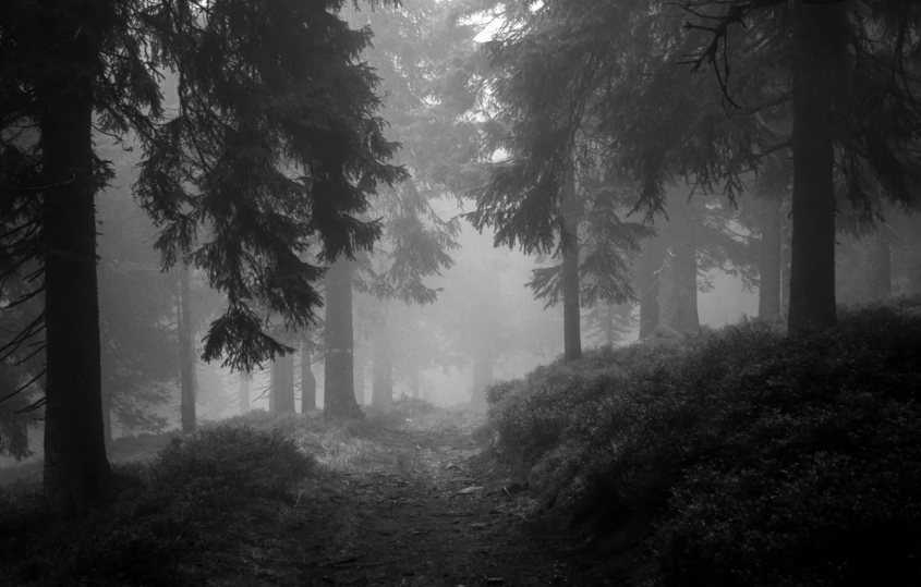 ����� ����������� ������� � �������� � ����, �� ��� �������� ������� ���