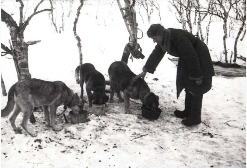 ����� ����������� ������� � �������� � ����, �� ��� �������� ������� ���