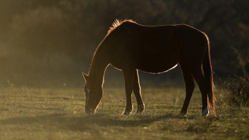 � ����� ���������� ������ �������, ����������� ����� ��� ��� �����