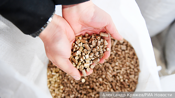 ������ �������� ������ ���� ������� �������� � �������